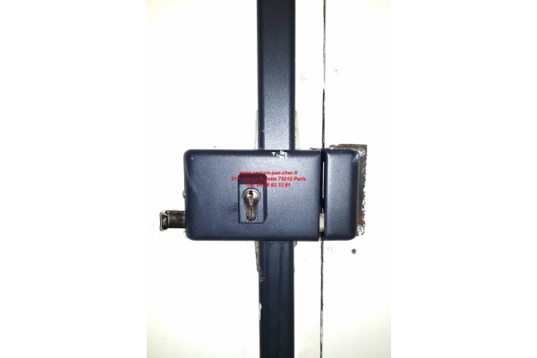 vachette 8800 vip